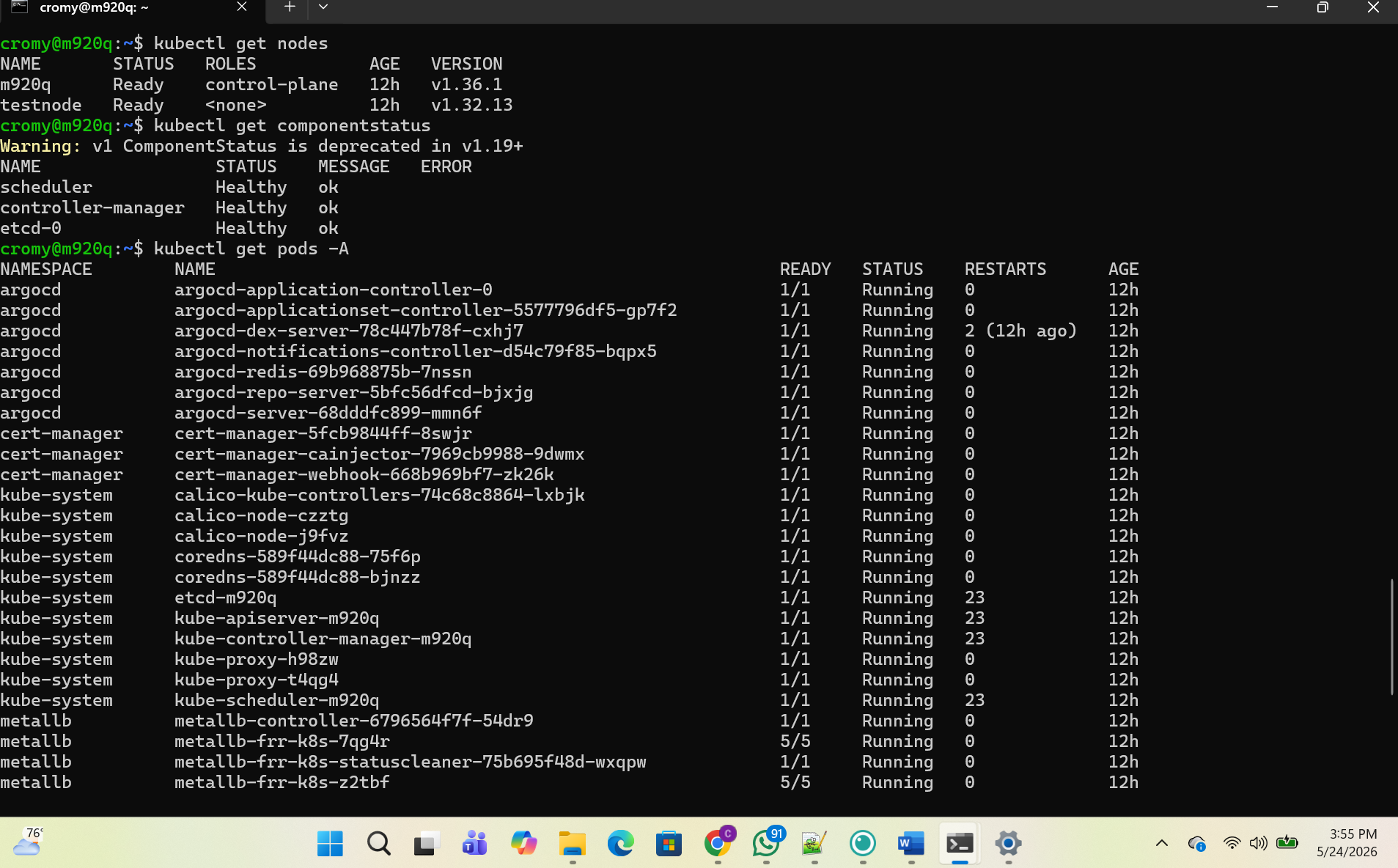 TC-003 two node cluster — both nodes Ready, full stack running